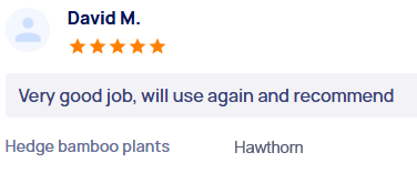 customer-reviews