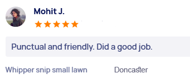 customer-reviews