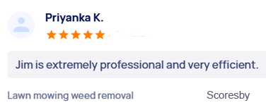 customer-reviews
