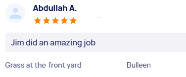 customer-reviews
