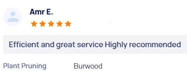 customer-reviews