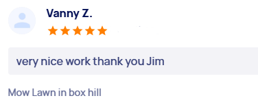 customer-reviews