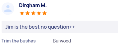 customer-reviews