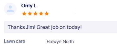 customer-reviews