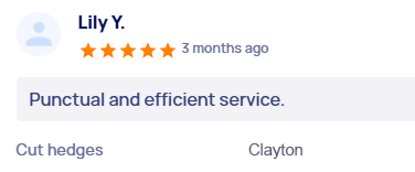 customer-reviews