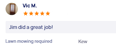 customer-reviews
