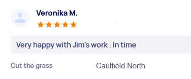 customer-reviews