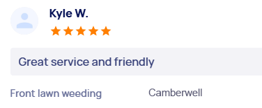 customer-reviews