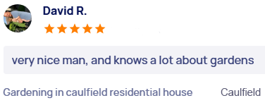 customer-reviews