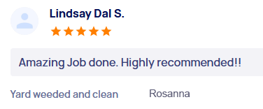 customer-reviews
