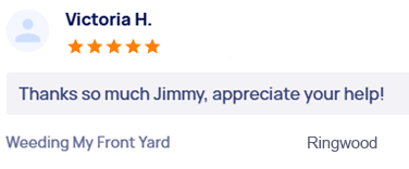 customer-reviews