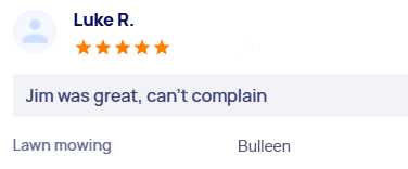 customer-reviews