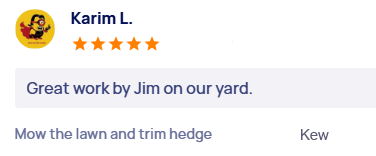 customer-reviews