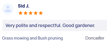 customer-reviews
