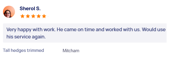 customer-reviews