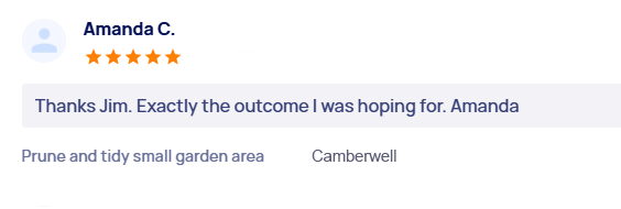 customer-reviews