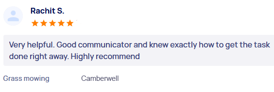 customer-reviews