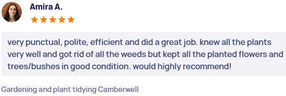 customer-reviews