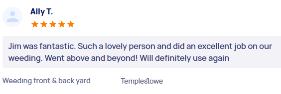 customer-reviews