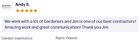 customer-reviews