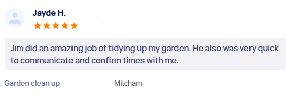 customer-reviews