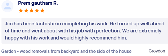 customer-reviews