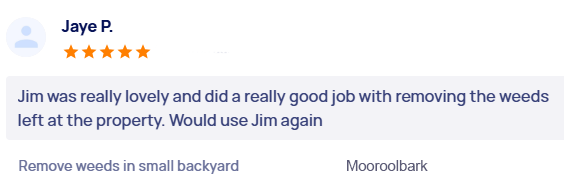 customer-reviews