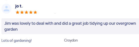 customer-reviews