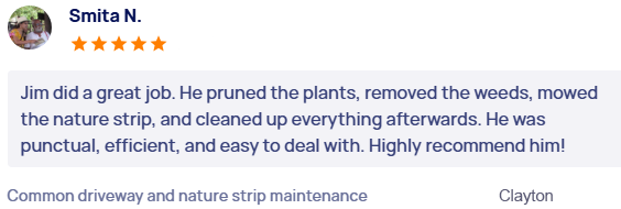 customer-reviews