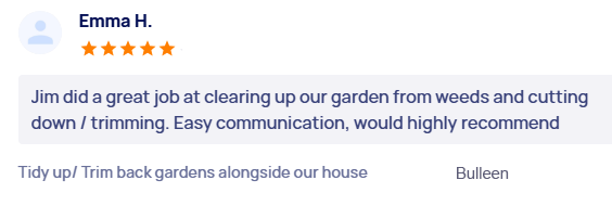 customer-reviews