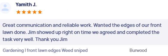 customer-reviews