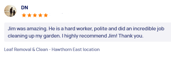 customer-reviews