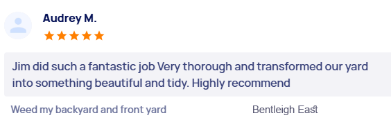 customer-reviews