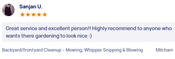 customer-reviews