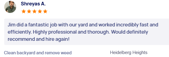 customer-reviews