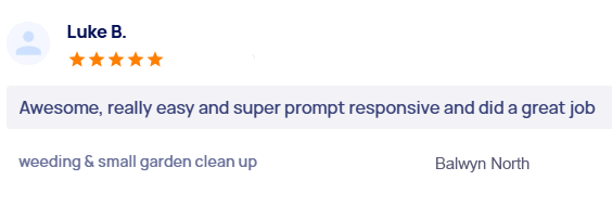 customer-reviews