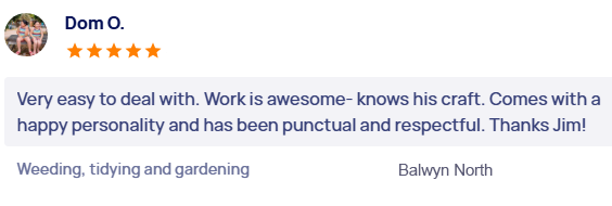 customer-reviews