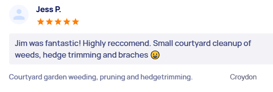 customer-reviews