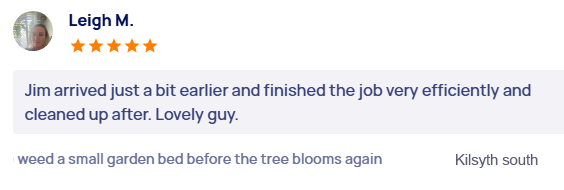 customer-reviews