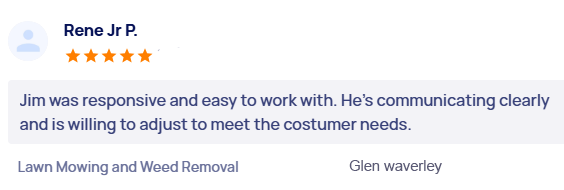 customer-reviews