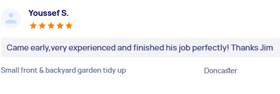 customer-reviews
