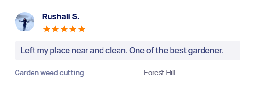 customer-reviews