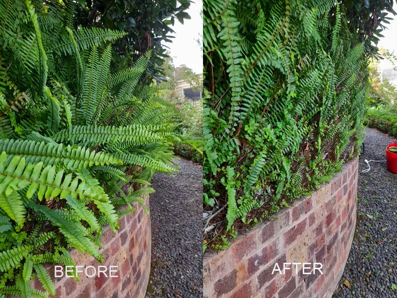 hedge_trimming