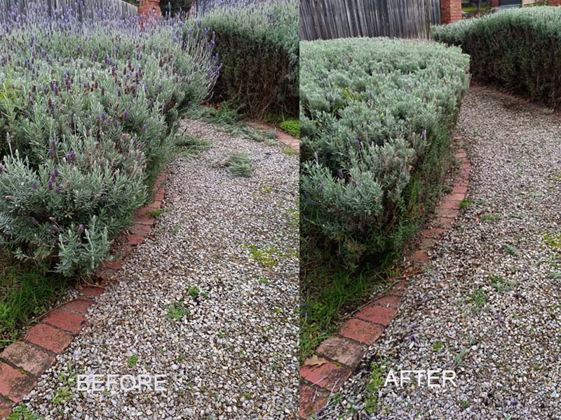 hedge_trimming