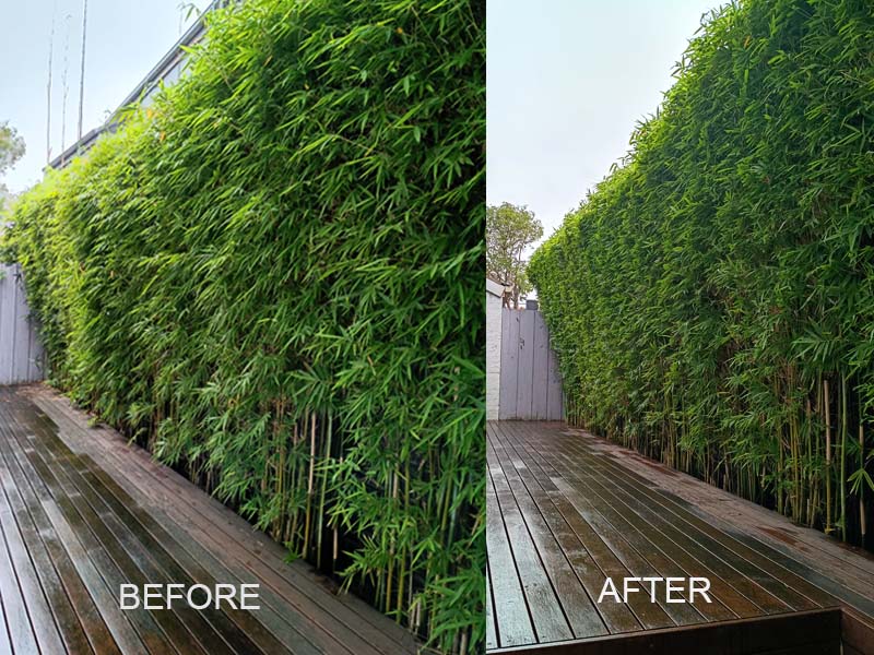 hedge_trimming