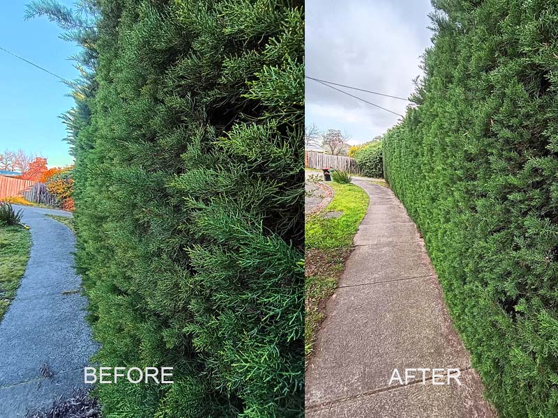 hedge_trimming