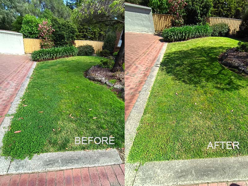 lawn_mowing